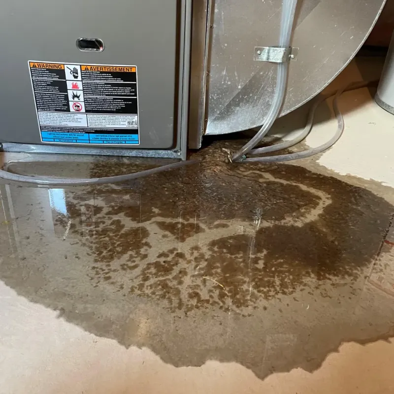 Appliance Leak Cleanup in Lancaster, MA